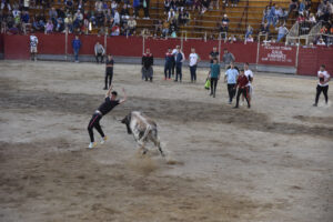 2022 Suelta de toros y vaquillas