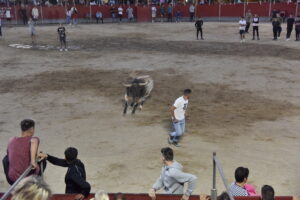 2022 Suelta de toros y vaquillas