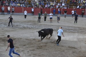 2022 Suelta de toros y vaquillas