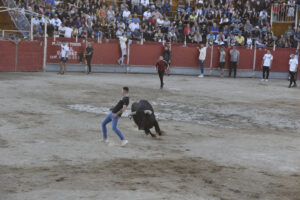 2022 Suelta de toros y vaquillas