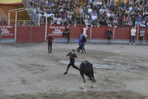 2022 Suelta de toros y vaquillas