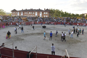 2022 Suelta de toros y vaquillas