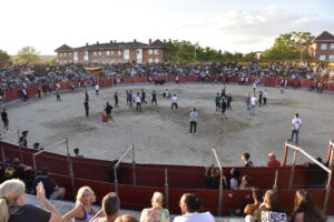 2022 Suelta de toros y vaquillas