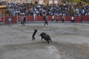 2022 Suelta de toros y vaquillas