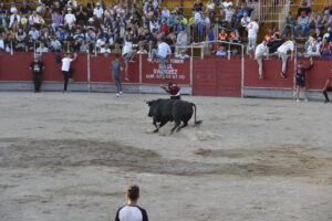 2022 Suelta de toros y vaquillas