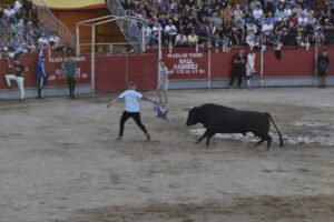 2022 Suelta de toros y vaquillas