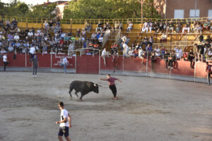 2022 Suelta de toros y vaquillas