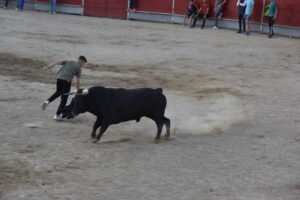 2022 Suelta de toros y vaquillas