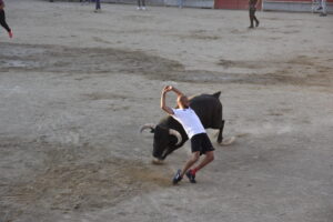 2022 Suelta de toros y vaquillas