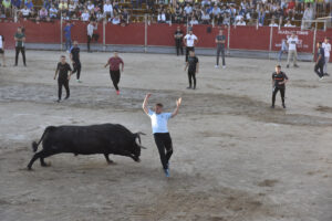 2022 Suelta de toros y vaquillas