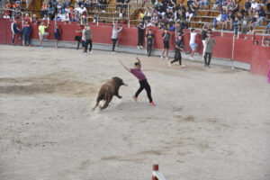 2022 Suelta de toros y vaquillas