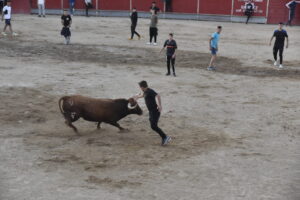 2022 Suelta de toros y vaquillas