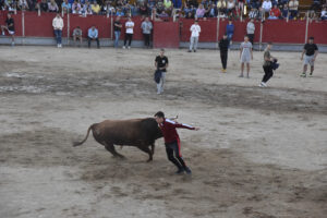 2022 Suelta de toros y vaquillas