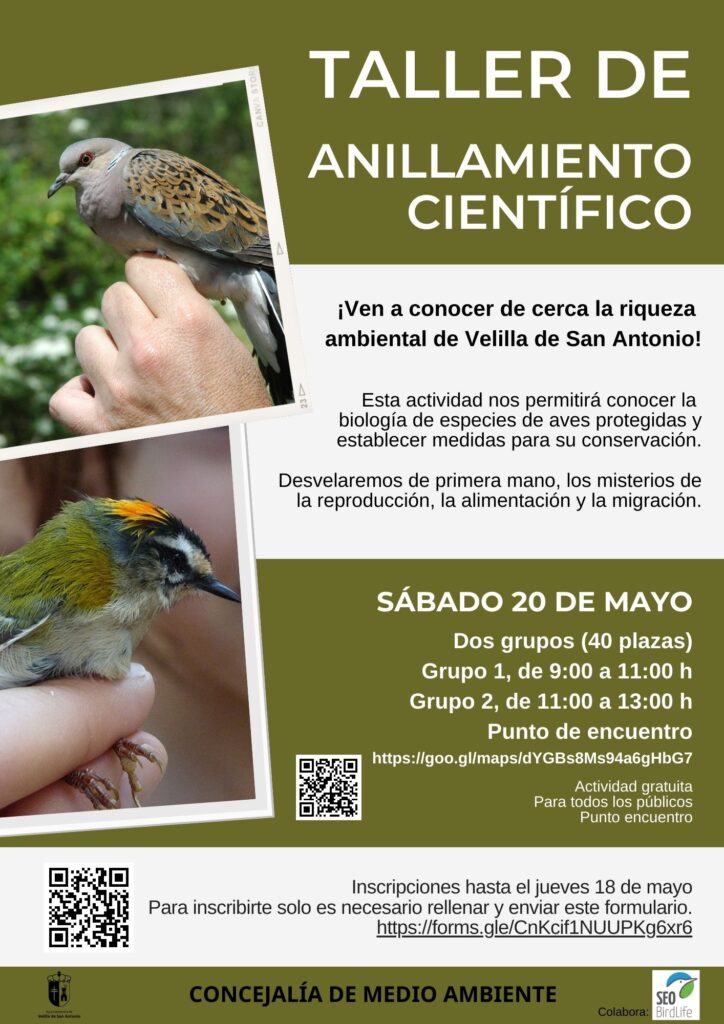taller anillamiento 20 mayo 2023 cartel