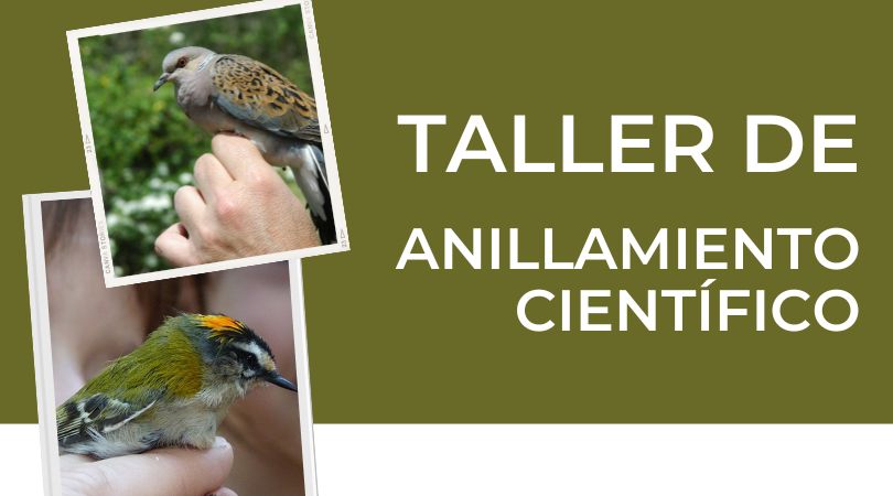 Taller de anillamiento científico