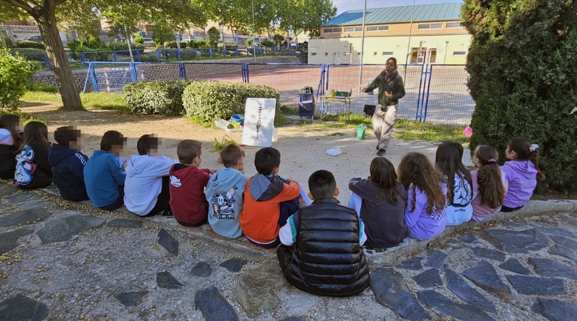 El Ayuntamiento ha impartido talleres sobre el mosquito tigre en los centros educativos de Velilla