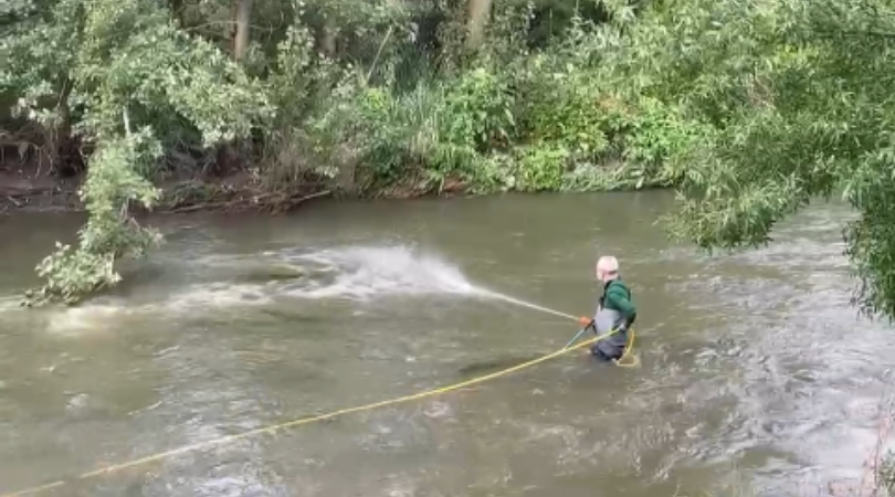 Continuamos con los tratamientos para combatir la mosca negra