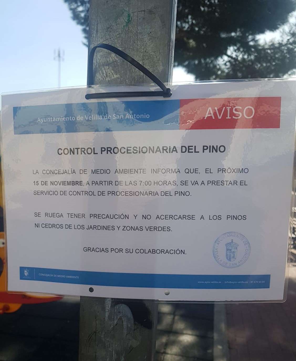 Programa de Control de la Procesionaria del Pino en Velilla