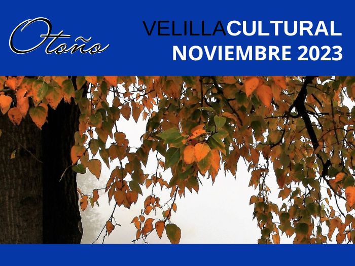 Programación Velilla Cultural Noviembre