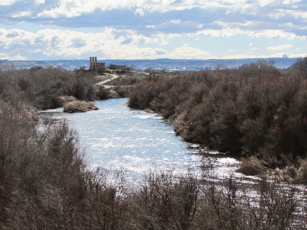 Visita Lagunas de Velilla de San Antonio