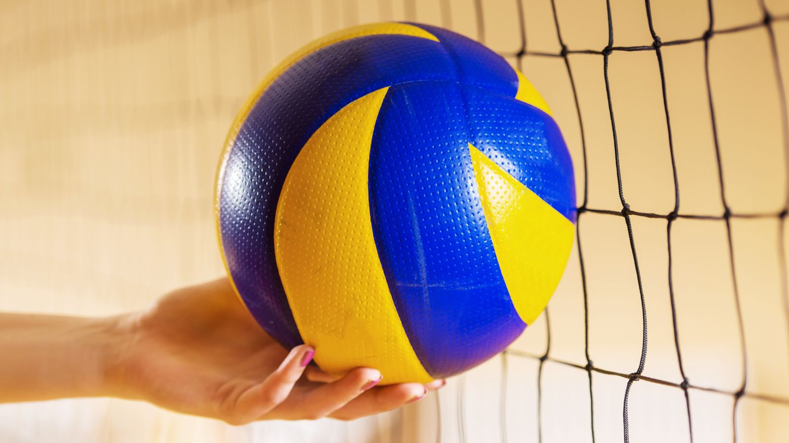 Fin de curso voleibol